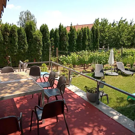 Agnes' Vineyard *