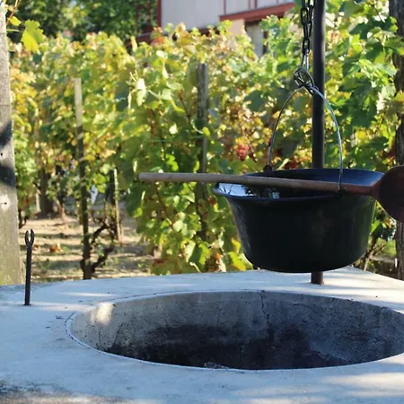 Holiday home Agnes' Vineyard